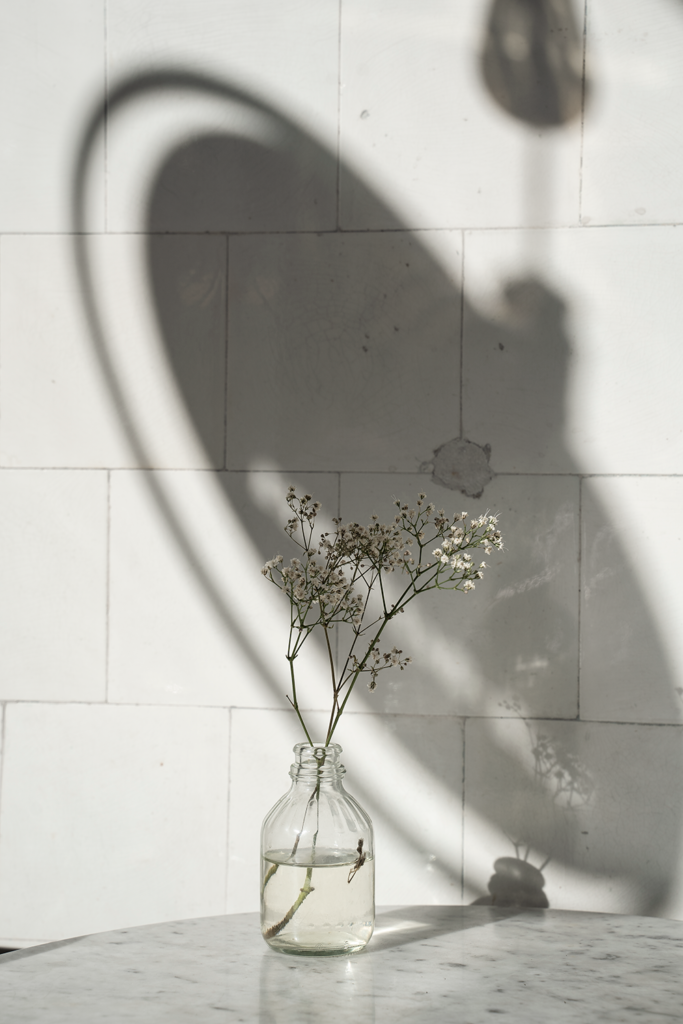 Flowers and shadows